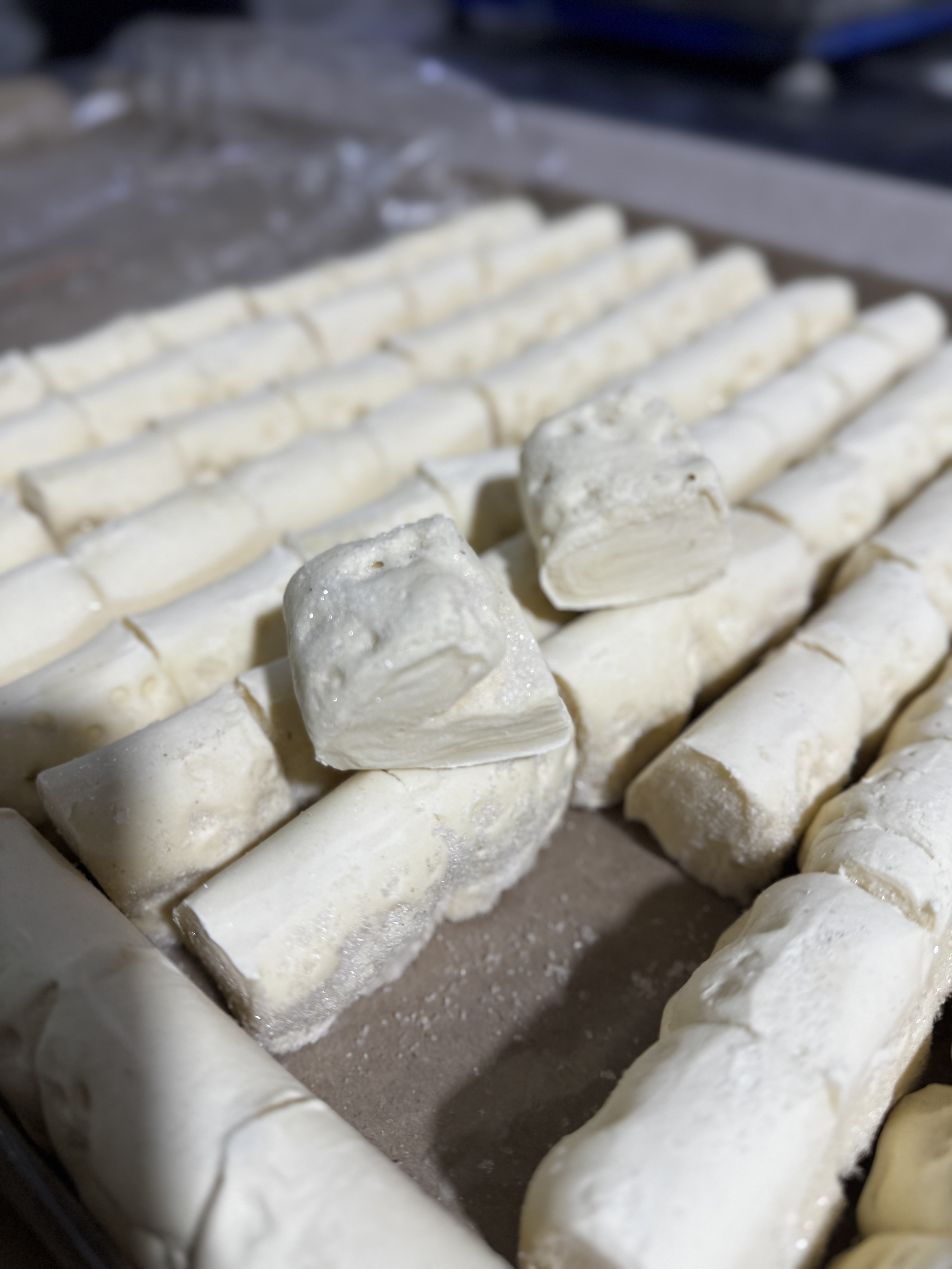 Libritos Congelados
