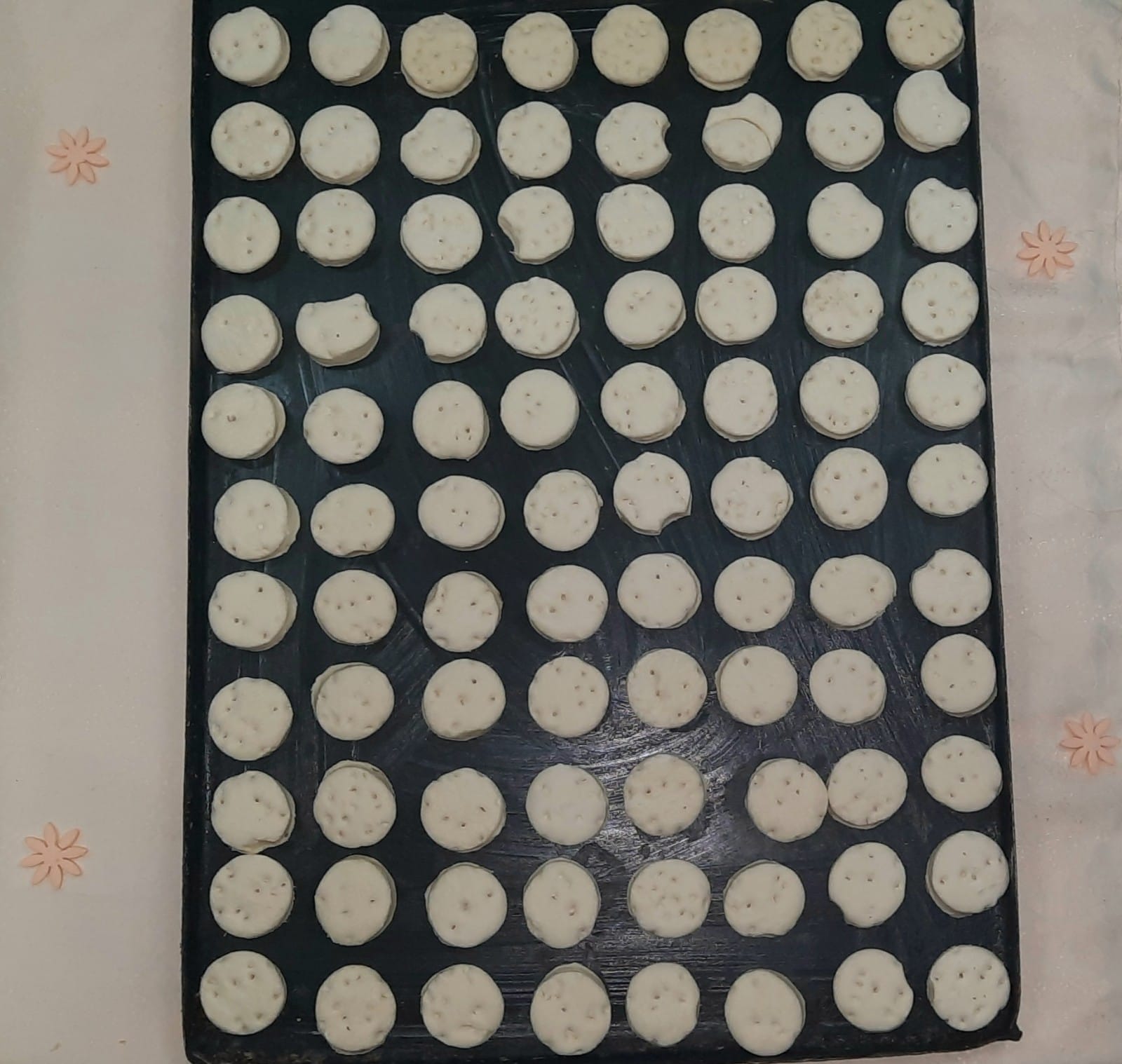 Bizcochos Congelados